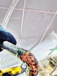 아파트 누수로 인한 곰팡이 제거와 예방법